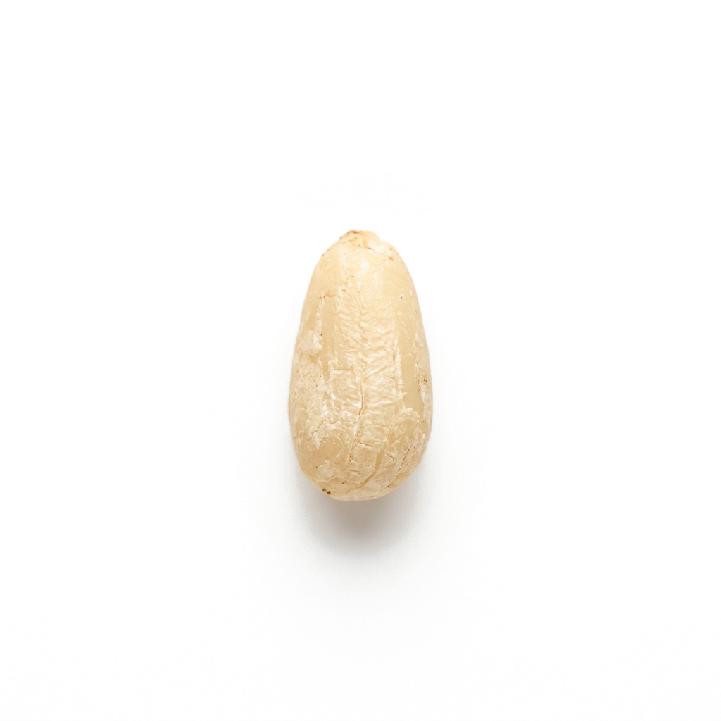 Cedernötter på vit bakgrund
