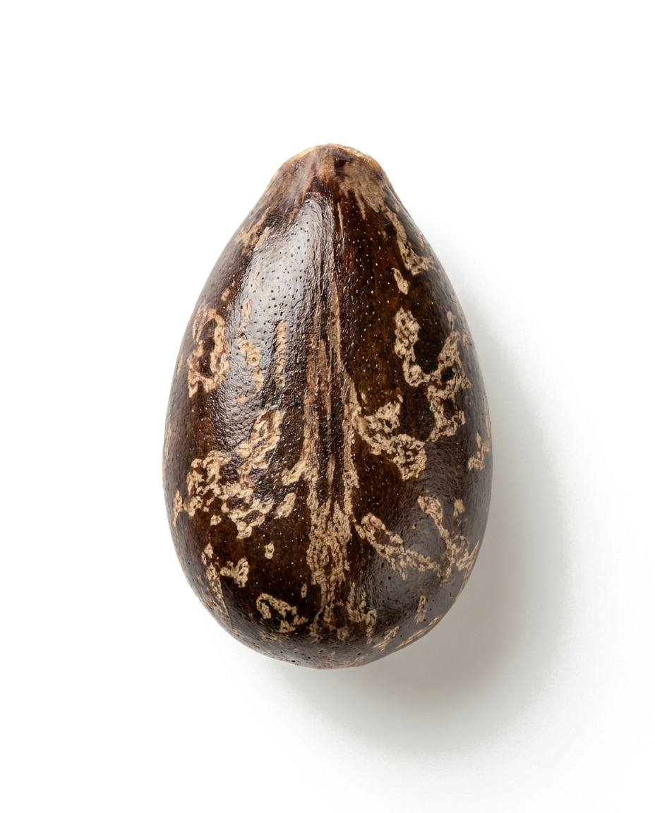 Mariatistelfrön på vit bakgrund